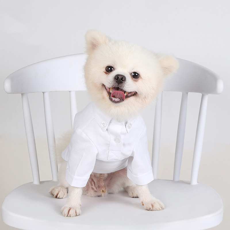 قمصان قاع الحيوانات الأليفة ،  - مراجعة Summer Dog Clothing وسعره